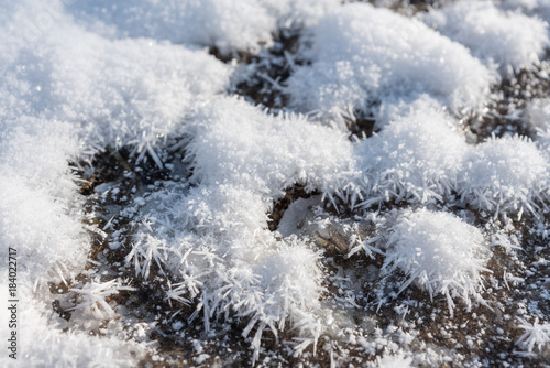 Waldboden mit Eiskristallen © SKatzenberger