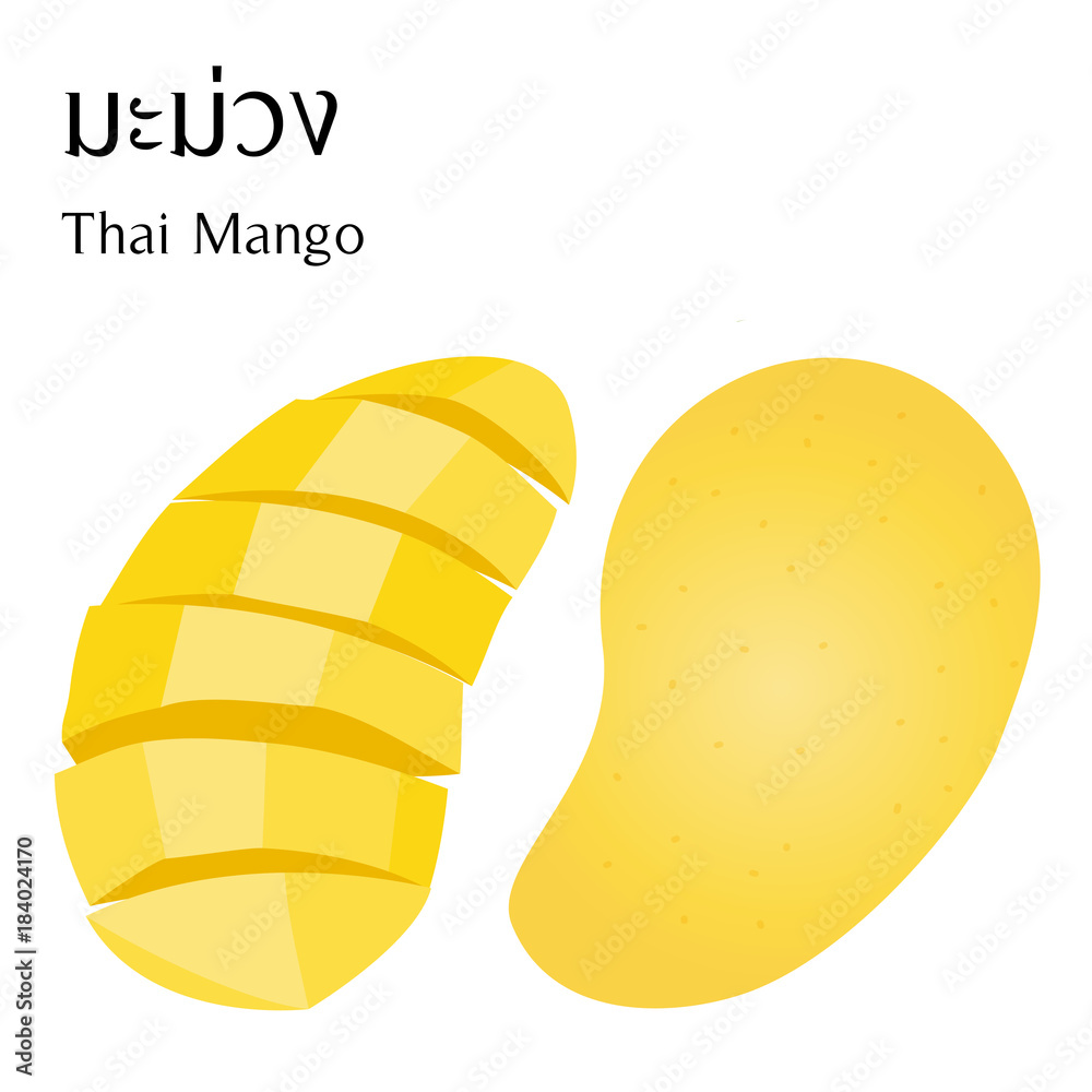 Thai fruits vector on white background with thai alphabet meaning mango Thai fruits vector on white background with thai alphabet meaning mango