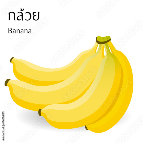 Thai food vector on white background with thai alphabet meaning banana