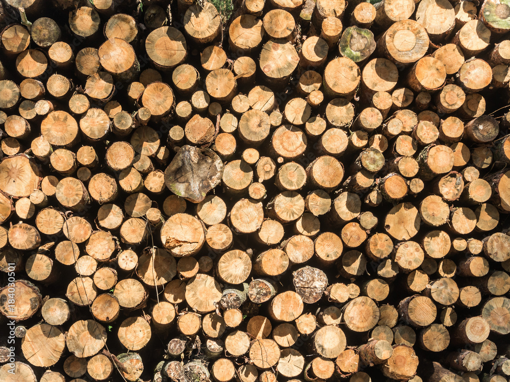 Stack Of Pine Tree Logs Background Stack Of Pine Tree Logs Background
