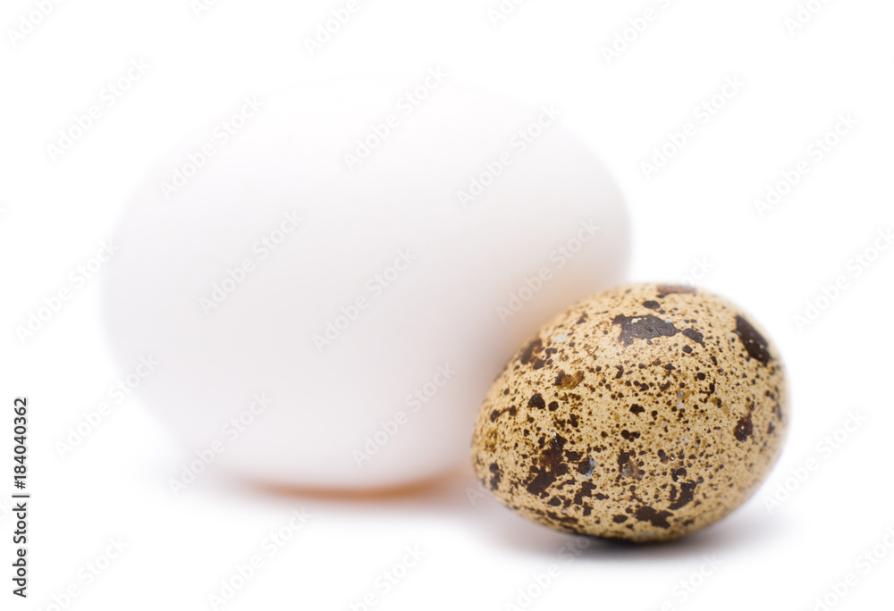 hens and quails eggs hens and quails eggs