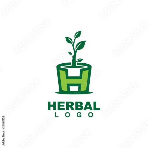 Herbal plant logo design vector