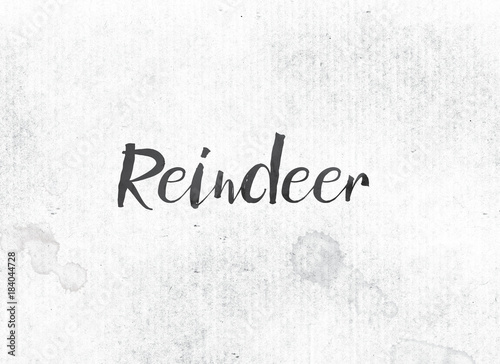 Reindeer Concept Painted Ink Word and Theme © enterlinedesign