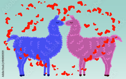 Two lovers kissing llamas surrounded by hearts. Love in the air, postcard to the day of Saint Valentine