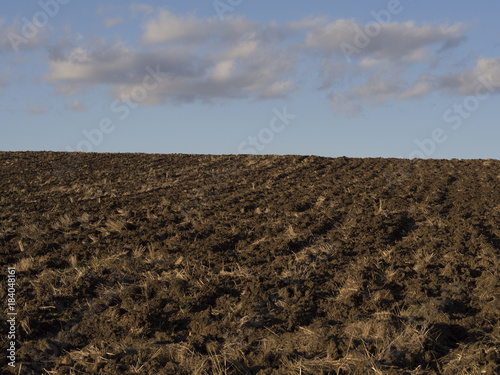 Plowed soil field