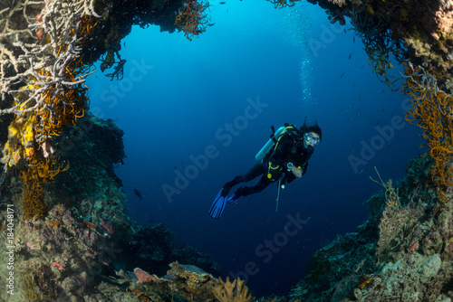 sea fan on the slope of a coral reef with a diver at depth photo