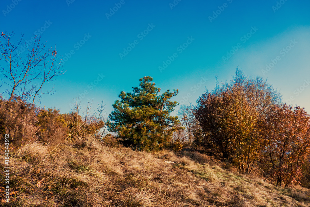 Beautiful autumnal landscape and blue sky Beautiful autumnal landscape and blue sky