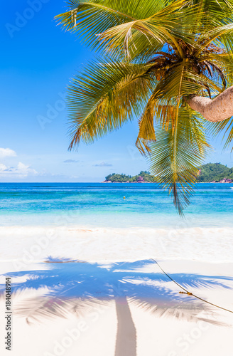 Fototapeta Naklejka Na Ścianę i Meble -  ombre de cocotier sur plage de Mahé, Seychelles 