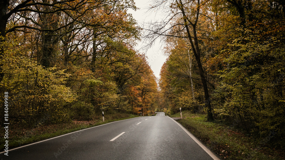 Fototapeta premium Autumn