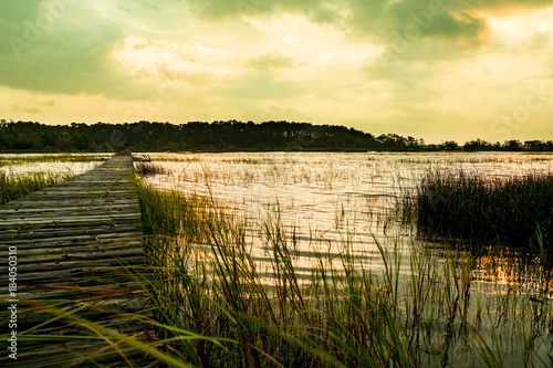 wooden pier in south carolina low country marsh at sunset with green grass