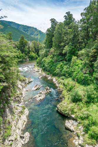 Beautiful green and clear pelorus river  known from the movie hobit. South Island  New Zealand