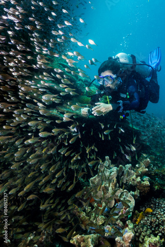 woman scuba diving among a school of dusky sweeper fish