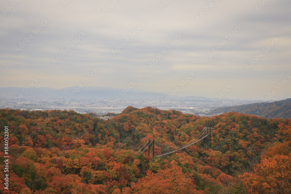 Autumn at hill in Japan