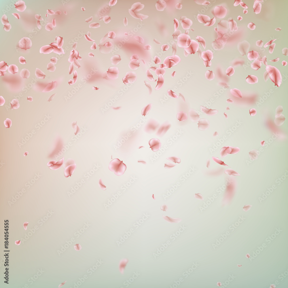 Spring background with pink Sakura petals. EPS 10 vector