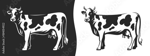 Cow with horns - Illustration on a dark and light background