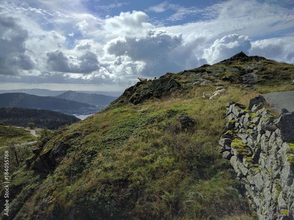 Nordic natural landscape, mount Ulriken, Bergen, Norway 