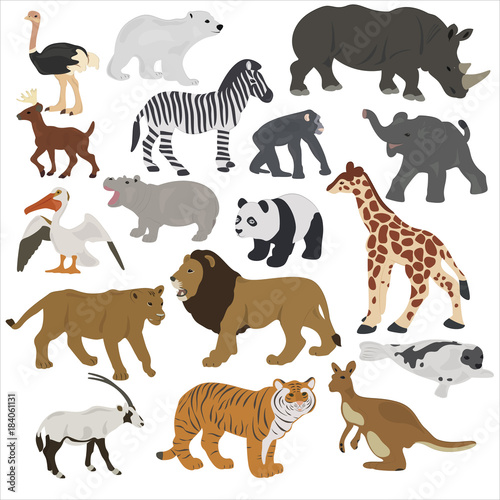 Collection of African animals on a white background