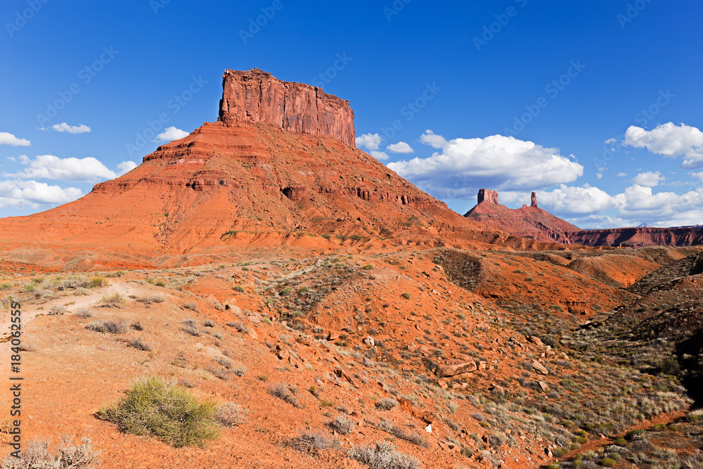 Fototapeta premium Red Cliffs in Castle Valley Utah, USA