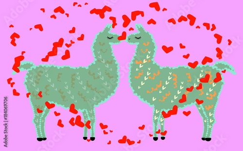 Two lovers kissing llamas surrounded by hearts. Love in the air, postcard to the day of Saint Valentine