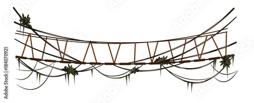 Rope bridge with lianas