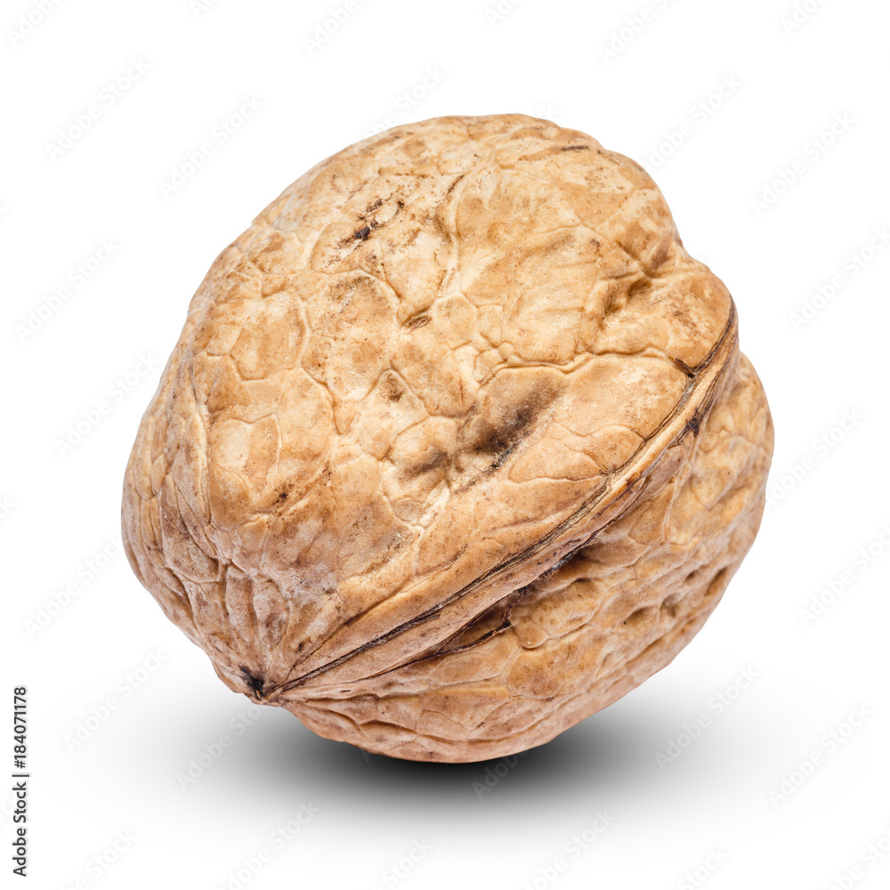 whole walnut isolated on white background. clipping path