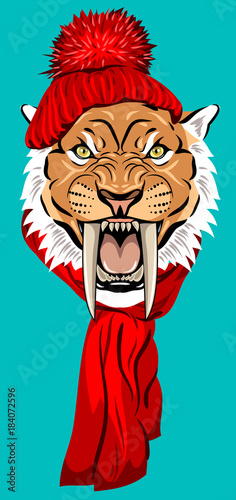 Fototapeta Naklejka Na Ścianę i Meble -   tiger, in a knitted red hat with a pompon and scarf