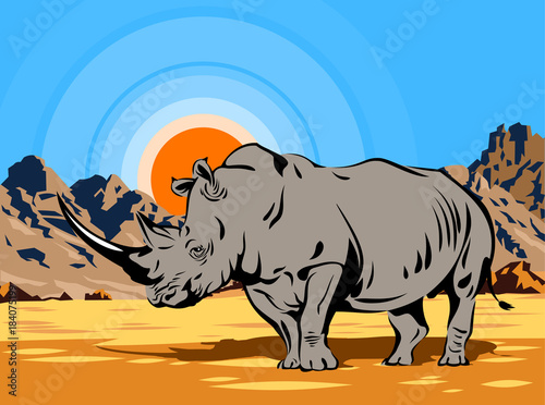 Rhinoceros in the desert