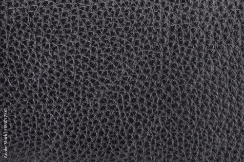 Wallpaper Mural Black coarse-grained leather close-up. Fragment of black leather... Torontodigital.ca