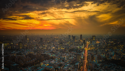 Tokyo sunset aerial panoramic view