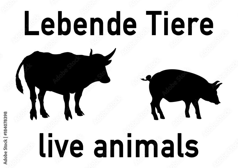 Obraz premium ws25 WarnSign - german: Beschilderung: Lebende Tiere / Viehtransport - Rinder - Schweine - english: live animals - livestock transportation - bovine - pigs - DIN A0 A1 A2 A3 - white xxl g5707