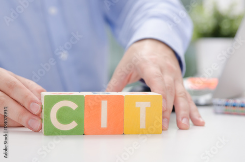 Canvas Print CIT word with colorful blocks.