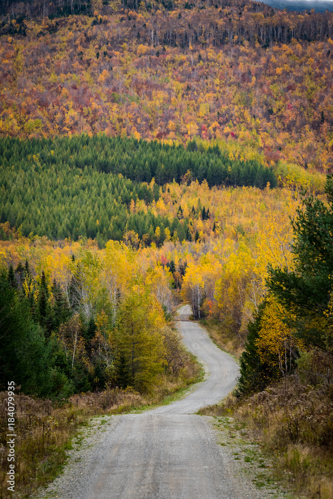 Fototapeta premium Layers of Color Flank Dirt Road