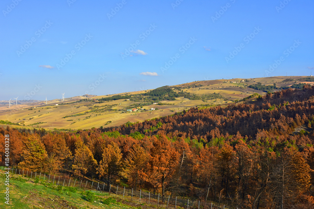 Italia, tipiche colline coltivate dei monti Appennini. Paesaggio 5 Italia, tipiche colline coltivate dei monti Appennini. Paesaggio 5