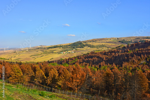 Italia, tipiche colline coltivate dei monti Appennini. Paesaggio 5
