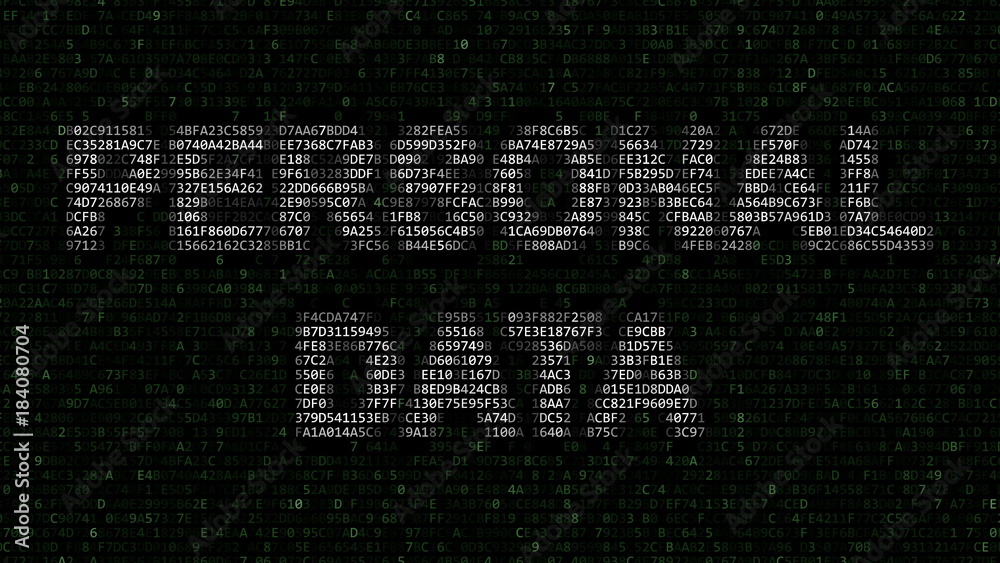PERSONAL DATA words made of hexadecimal symbols on computer screen. 3D rendering