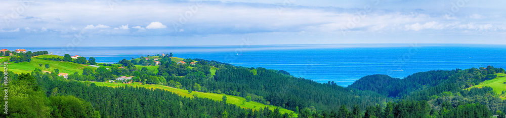 Rural landscape with a green meadow and forest near the sea at summer day