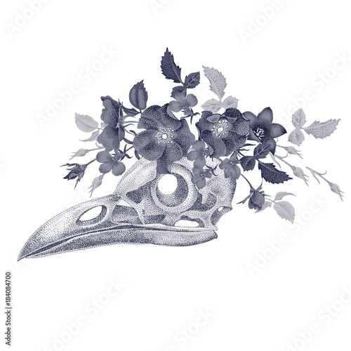 Illustration skull crow.