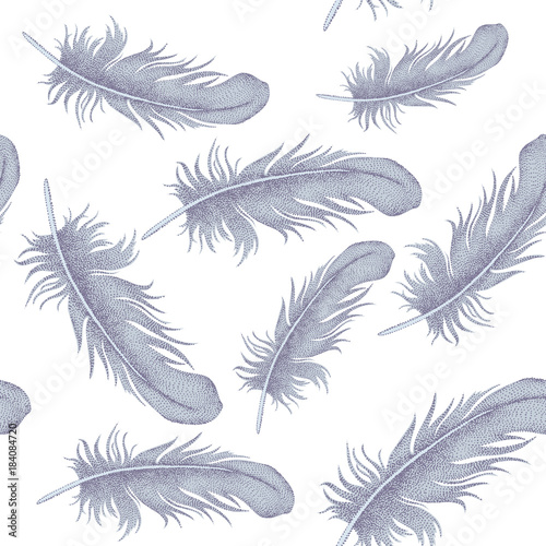 Vector seamless pattern with bird feathers.