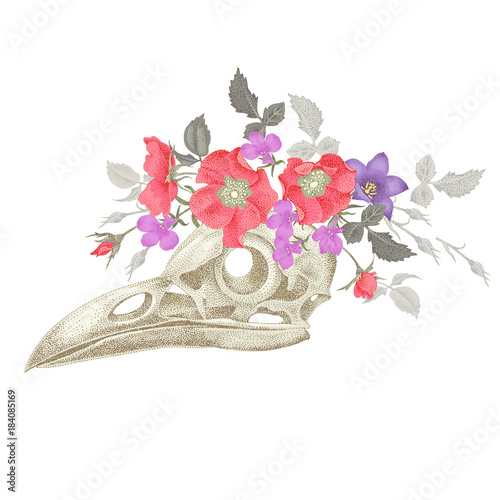 Illustration skull crow.