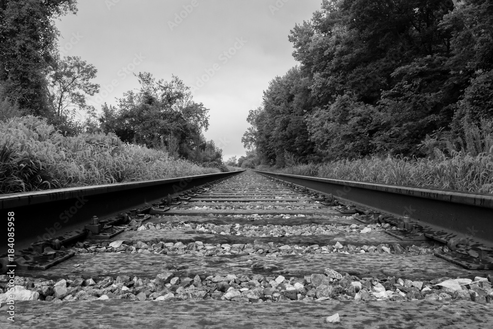 Black and white photograph taken from railroad track level.  One track on either side with trees and tracks converging in the distance.