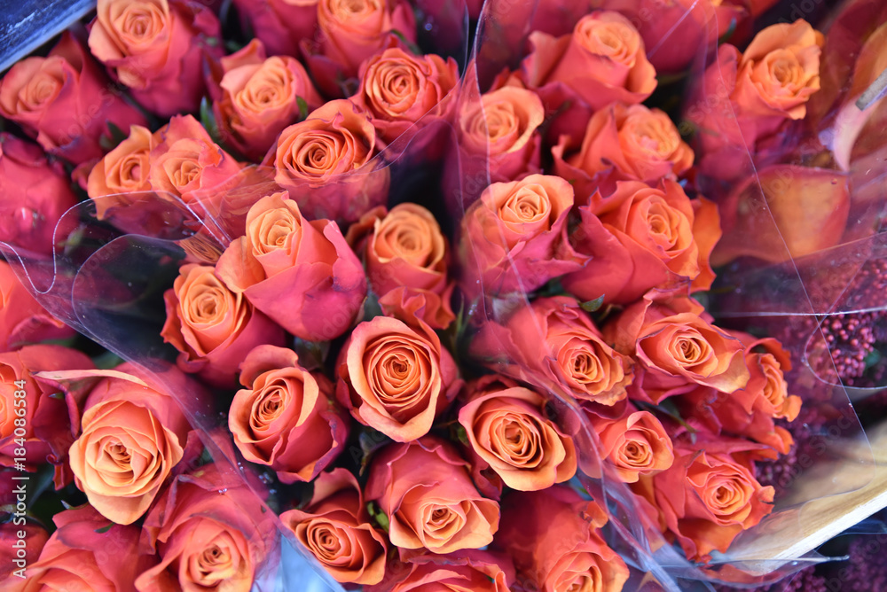 Bouquets de roses