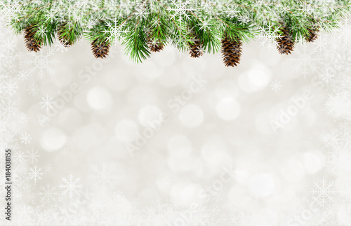 Christmas tree twigs, cones...