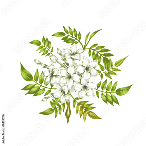 Card with jasmine flowers.