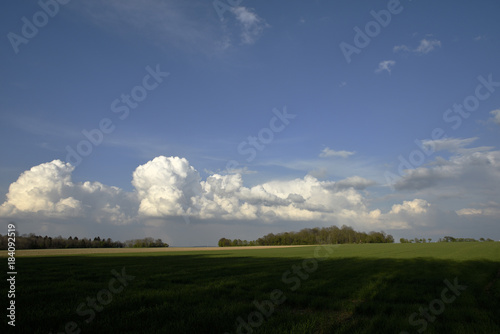 Gruenes, weites Feld mit blauem Himmel und weissen Wolken, green, wide field with blue sky and white clouds