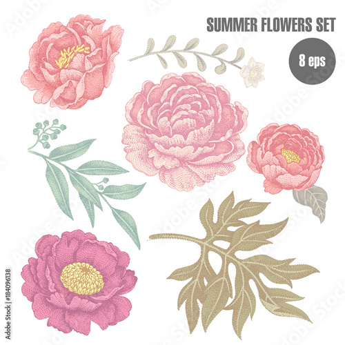 Set of flowers.
