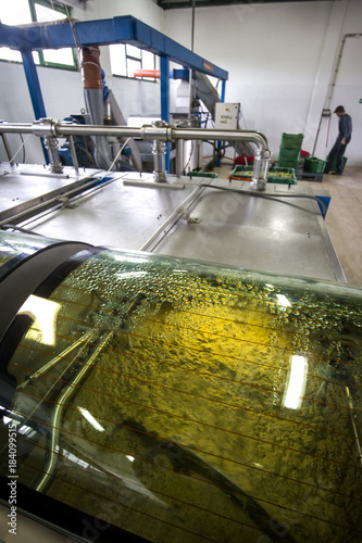 Detail of olive oil production line, olive paste after milling and before centrifugal extraction of oil