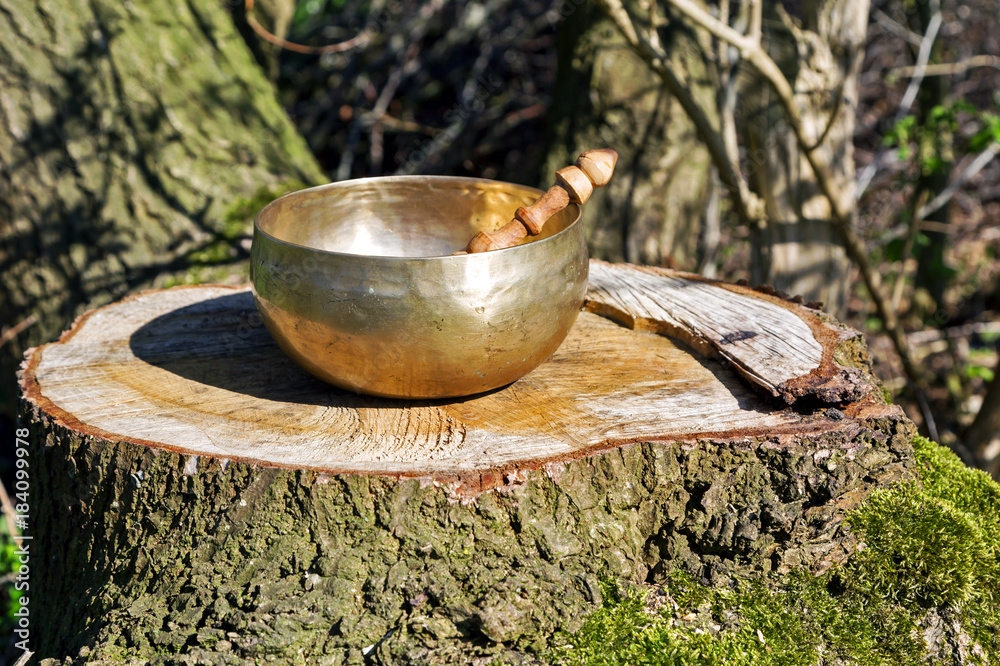 Klangschale auf einem Baumstamm im Wald, Meditation im Einklang mit der ...