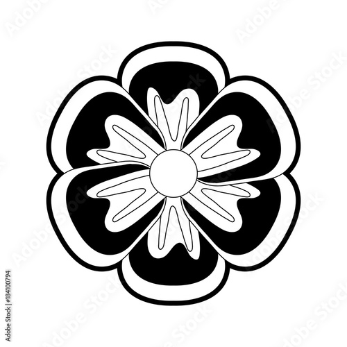 flower  vector illustration