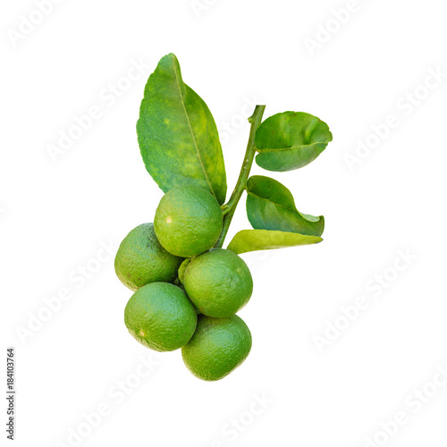 Fresh lime isolated on white © ParinPIX