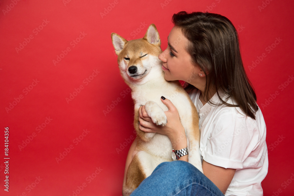 young brunette woman in white t shirt and jeans holding a dog shiba inu, on plane red background. young brunette woman in white t shirt and jeans holding a dog shiba inu, on plane red background.